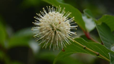 水樹舞花|水樹舞花